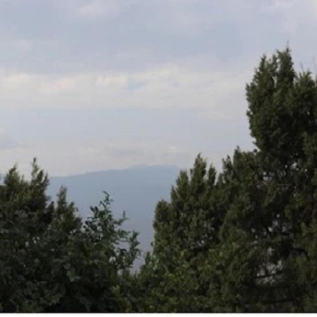 Moonlight Resort Mussoorie Esterno foto