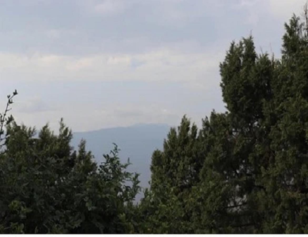 Moonlight Resort Mussoorie Esterno foto